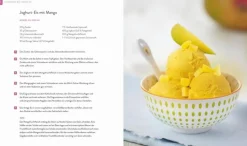 CHRISTIAN VERLAG Rezeptbuch "Die Eis-Bibel"