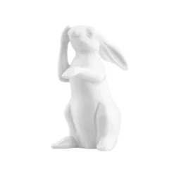 Fürstenberg Hase 2024 "Henri"