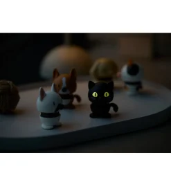 Hoptimist Cat