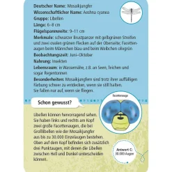 Moses Kartenset - 50 heimische Insekten & Spinne "Expedition Natur"