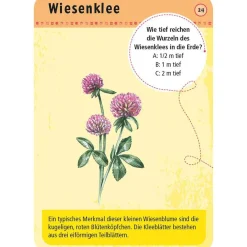 Moses Kartenset 50 heimische Blumen 
