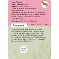 Moses Kartenset 50 Pferde & Ponys "Expedition Natur"