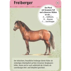 Moses Kartenset 50 Pferde & Ponys 