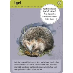 Moses Kartenset 50 Tiere der Nacht "Expedition Natur"