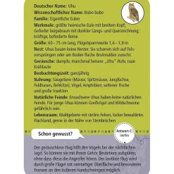 Moses Kartenset 50 Tiere der Nacht "Expedition Natur"