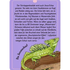 Moses Kartenset 50 Tierrätsel - Tricks&Tarnung "Expedition Natur"