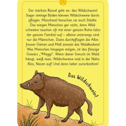 Moses Kartenset 50 Tierrätsel - Wald 