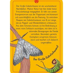 Moses Kartenset 50 Tierrätsel - Insekten "Expedition Natur"