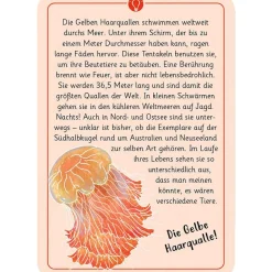 Moses Kartenset 50 Tierrätsel - Rekorde 