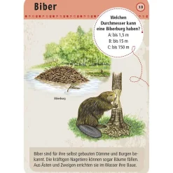 Moses Kartenset 50 Tierspuren "Expedition Natur"