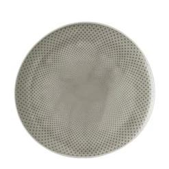 Rosenthal Speiseteller "Junto Pearl grey" 27cm