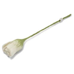 Tulpe "Filz weiß"