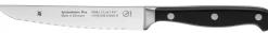 WMF Spitzenklasse Plus Zubereitungsmesser, 12 cm